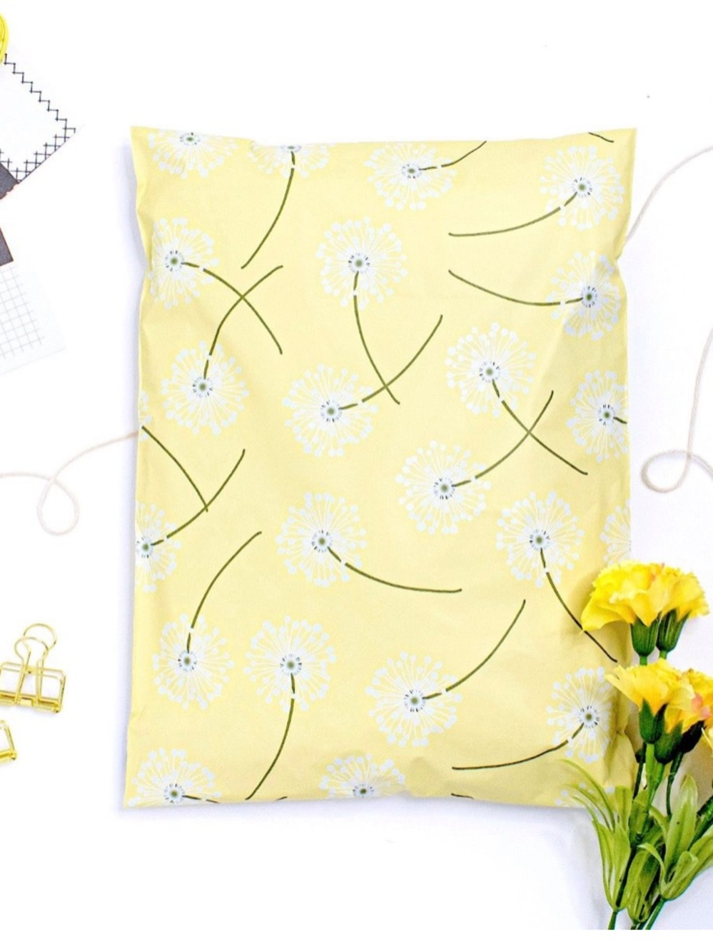 20- 10x13 dandelion polymailers